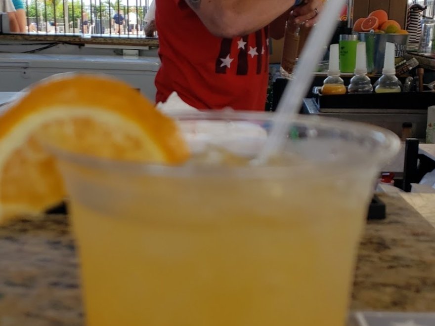 The Jungle Bar & Restaurant