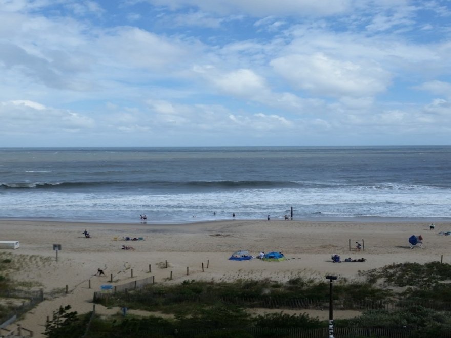 The Jungle Bar & Restaurant