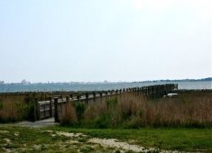 Isle of Wight Park